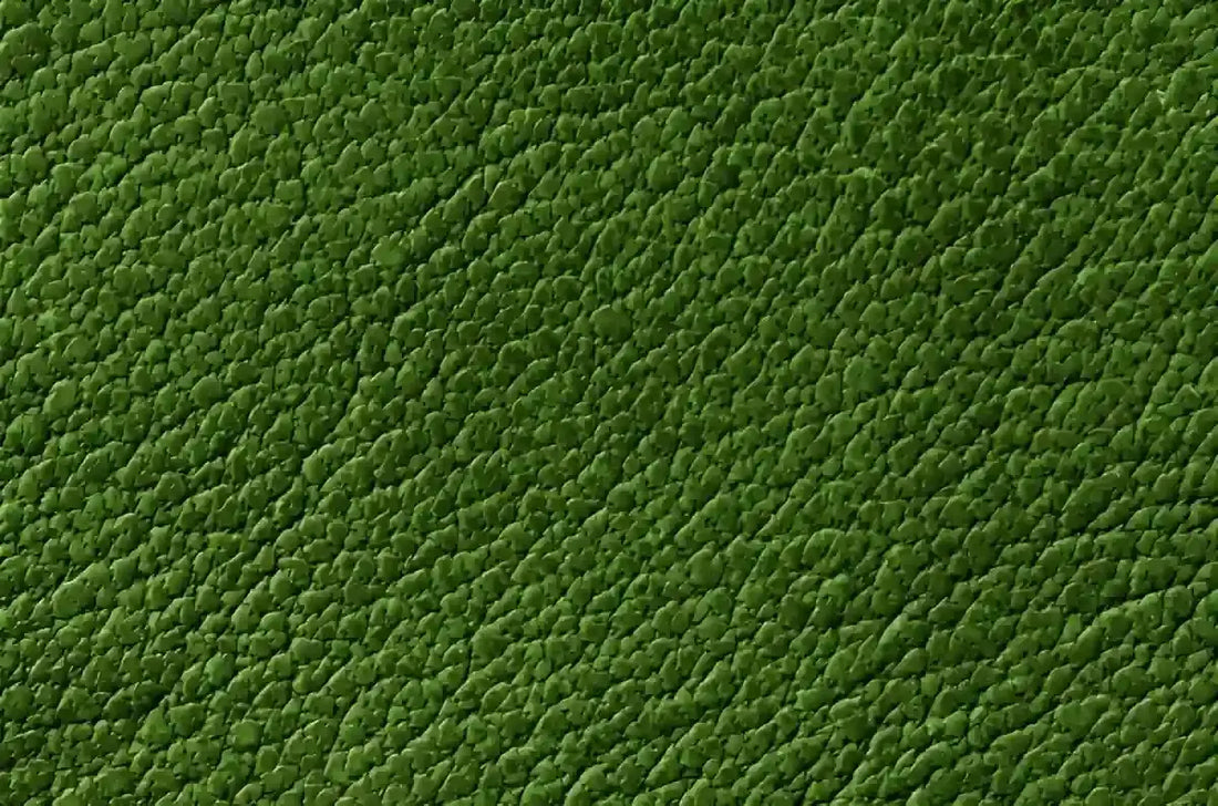 How to Choose Eco-Minded Leather Alternatives Without Sacrificing Style