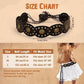 Women's Boho Disc Concho Belt – Western Cowgirl